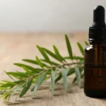 Olejek eteryczny z drzewa herbacianego w ciemnej szklanej butelce obok galazek Melaleuca alternifolia na drewnianym tle