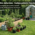 Bieszczadzkie zielarstwo - tradycja połonin i bacówek - hero image