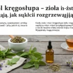 Co na ból kręgosłupa - zioła i maści rozgrzewające - hero image