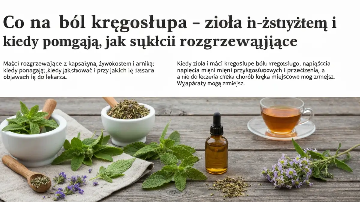 Co na ból kręgosłupa - zioła i maści rozgrzewające - hero image