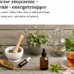 Co na chroniczne zmęczenie - zioła energetyzujące - hero image