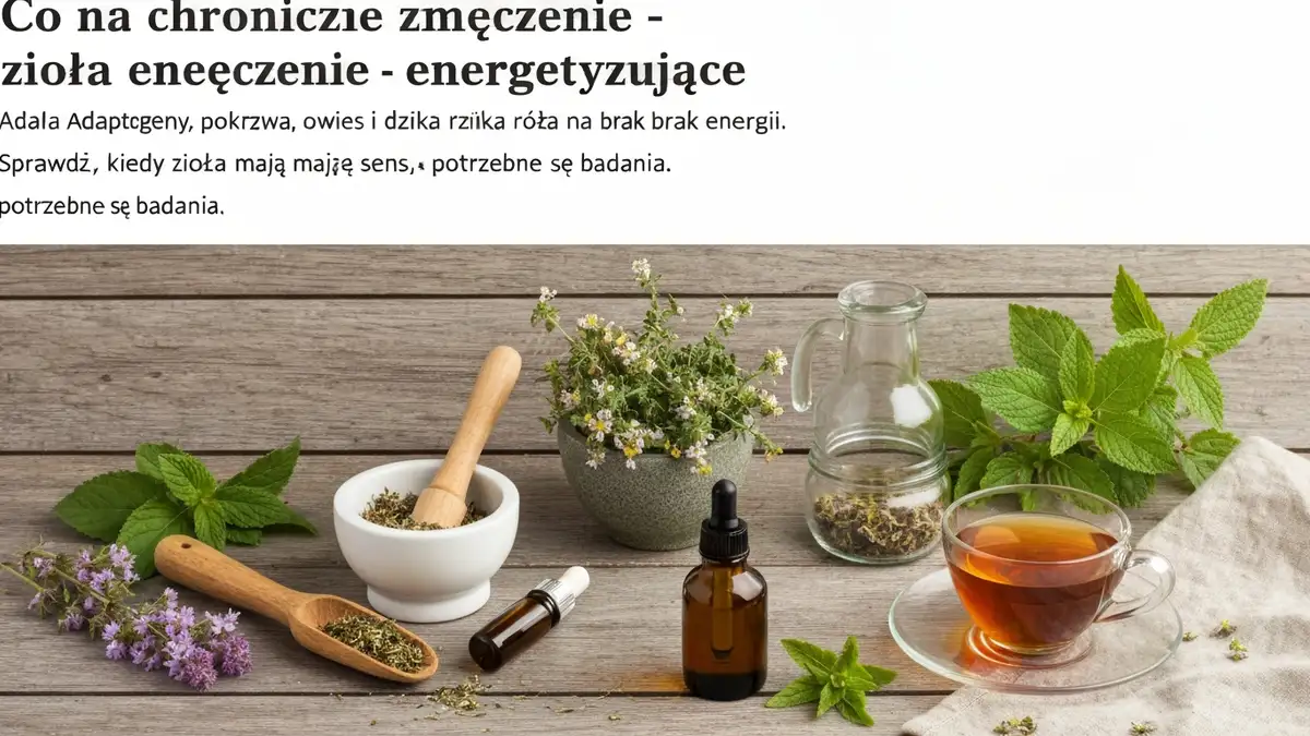 Co na chroniczne zmęczenie - zioła energetyzujące - hero image