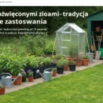 Co robić z poświęconymi ziołami - tradycja i praktyczne zastosowania - hero image