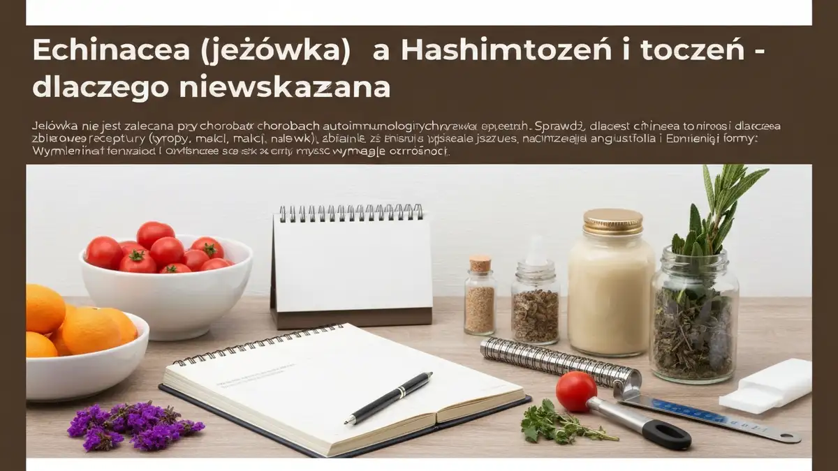 Echinacea (jeżówka) a Hashimoto i toczeń - dlaczego niewskazana - hero image
